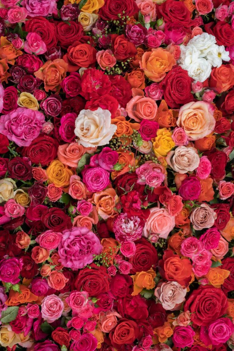 fleurs