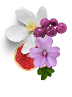 montage de fleurs et de fruits